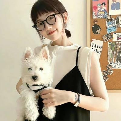 怪物高中之纽约